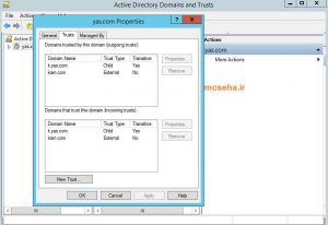 تراست دو طرفه