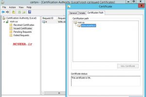 certification path