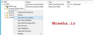 ساخت رکورد در dns