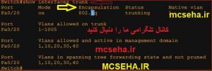 آموزش trunk درسوئیچ سیسکو