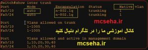 آموزش trunk در سویچ سیسکو