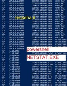 netstat.exe